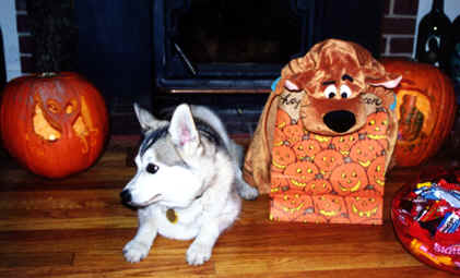 Halloween 2000 neo-2.tif (255376 bytes)