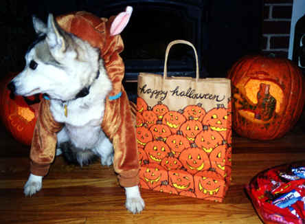 Halloween 2000 neo-5.tif (348228 bytes)