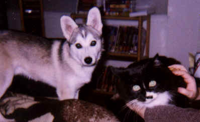 Neo&Max.tif (236472 bytes)