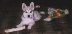 Neo On His Bed-1.tif (71044 bytes)