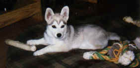 Neo On His Bed-2.tif (98240 bytes)