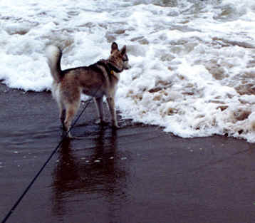 Neo at the Beach-1.tif (270864 bytes)