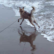 Neo at the Beach-8.tif (119646 bytes)