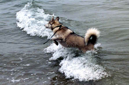 Neo at the Beach-9.tif (331630 bytes)