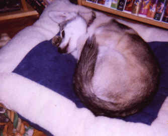Neo's New Bed-1.tif (206096 bytes)