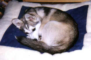 Neo's New Bed-3.tif (143446 bytes)