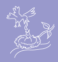 Bird's nest