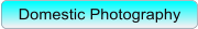 Domestic Photography