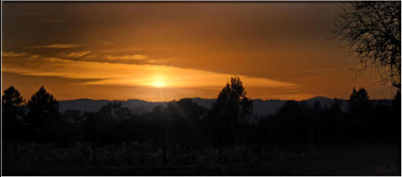 Vineyard Sunset - Nov 2020