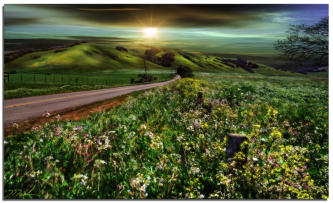 Late Afternoon in Pt Reyes