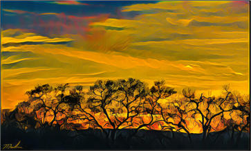 December Sunset