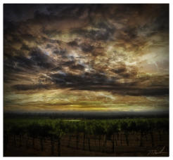 Shiloh Sunset