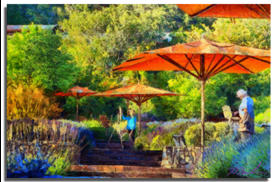 Matanzas Creek Artist 