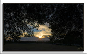 Sunset Oaks