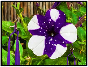 Purple Feat