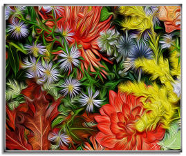 Mixed Boquet 