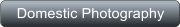 Domestic Photography
