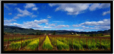 Vineyard Mustard 