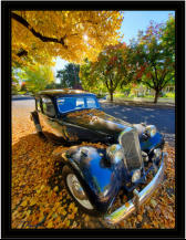 Classically Fall - 1954 Citroen