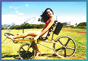 Haluzak recumbent outlet