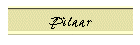 Pilaar