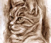 rt for sale online, buy art online, buy artist original artwork online, cool artwork, cool art, for facebook, mug cup, mug cups, cool mug, cool mugs, artistic mug, cool gift, gift idea, coffee mugs, cat mugs, artist original mugs, original mugs, kanji mugs