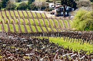 Chaos to order; vine to wine.