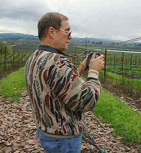 Dr. Toad in the Merlot Vineyard