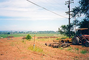 The Toad Hollow Estate Merlot Vineyard - Before
