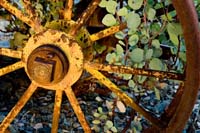 Wheel