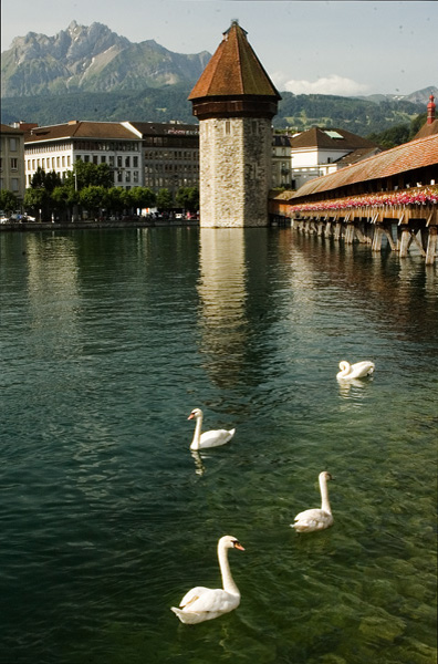 DSC_8336 Kapell-Brucke, Luzerne
