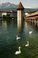 DSC_8336 Kapell-Brucke, Luzerne
