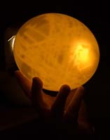 08 Ostrich Egg