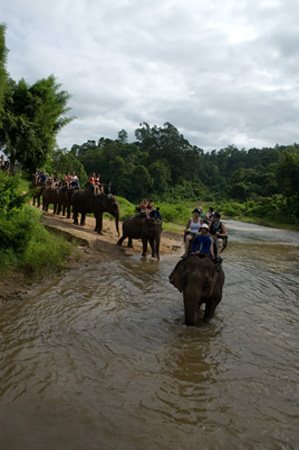 1108DSC_6503