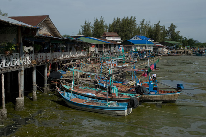 1135DSC_6635