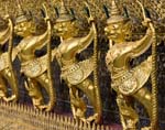 1017DSC_6041 Golden Guards