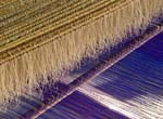 1102DSC_6481 Silk Weaving