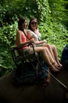 1109DSC_6509