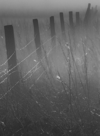 0142DSC_4845 Barbed Wire Fence