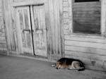 0101Lazy in Locke