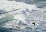 0102_DSC6814 Surfer