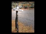 0125Elko & Main