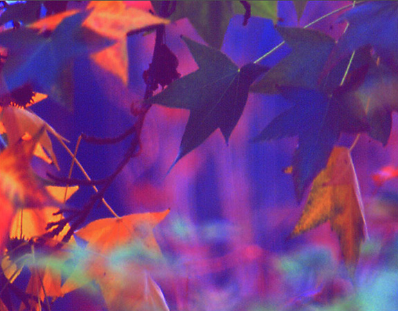 0116Impressionists View11X14