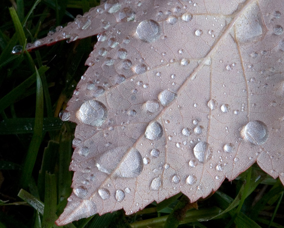 0132Water Magnification 2