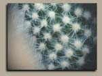 0103Cactus