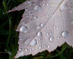 0132Water Magnification 2