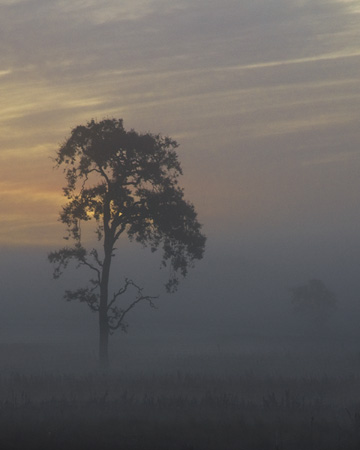 0183DSC_3910 Sunrise Silhouette 2a