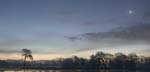 0181_DSC0006 Laguna