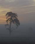 0183DSC_3910 Sunrise Silhouette 2a