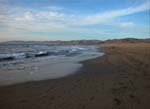 0193Bodega Dunes